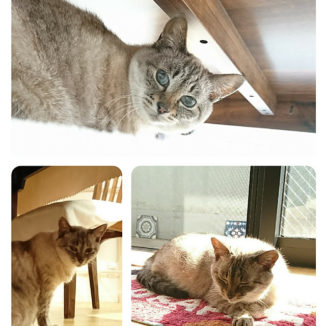 bonobono54さんの実例写真