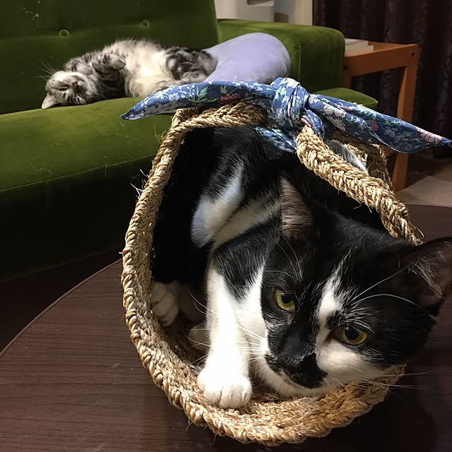 mikomaruさんの実例写真