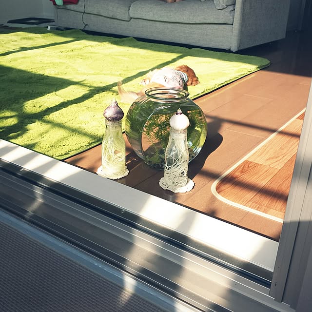 sumireさんの実例写真
