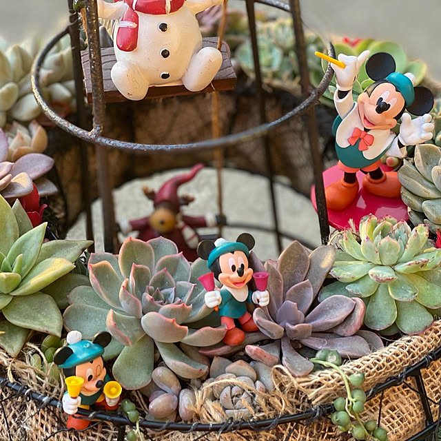 micoyocoさんの実例写真