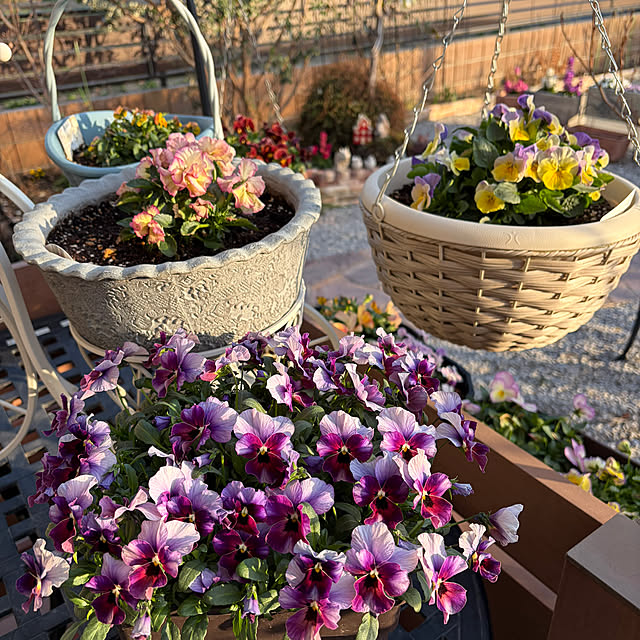 ronronさんの部屋