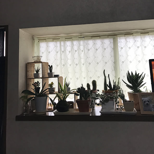 yoshie1197さんの実例写真