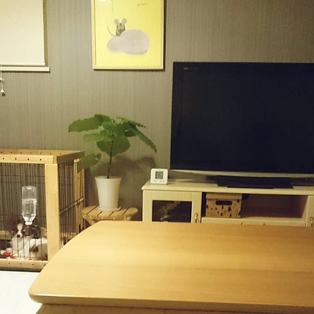 simaさんの実例写真