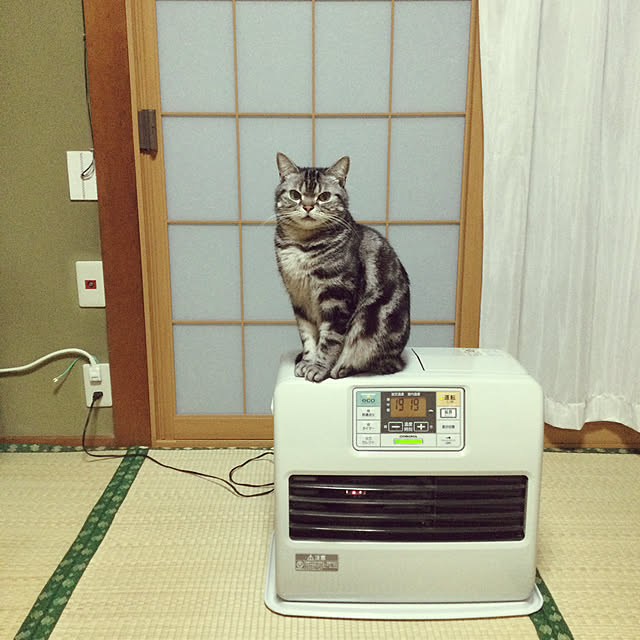 richanさんの実例写真