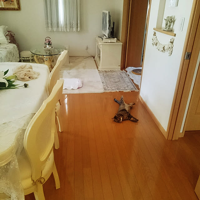 lilyさんの実例写真