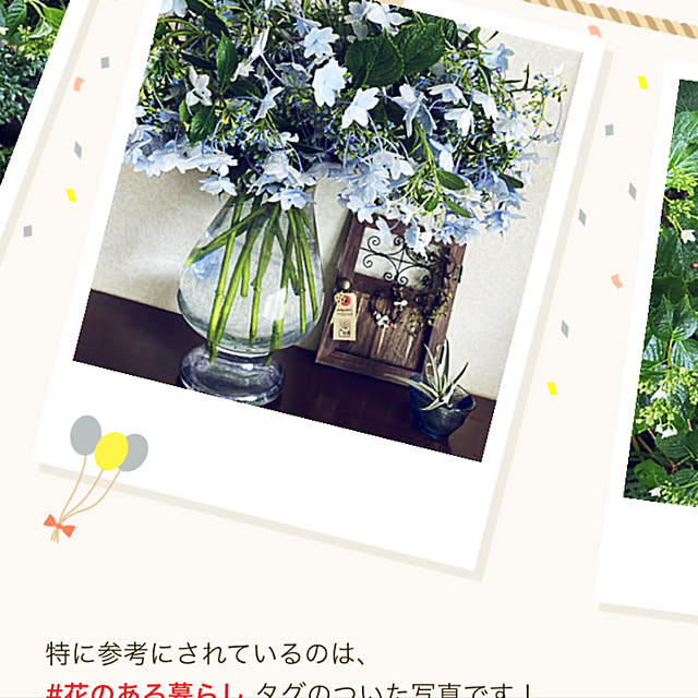 ChiCoさんの実例写真