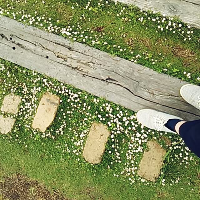 poemwalkさんの実例写真