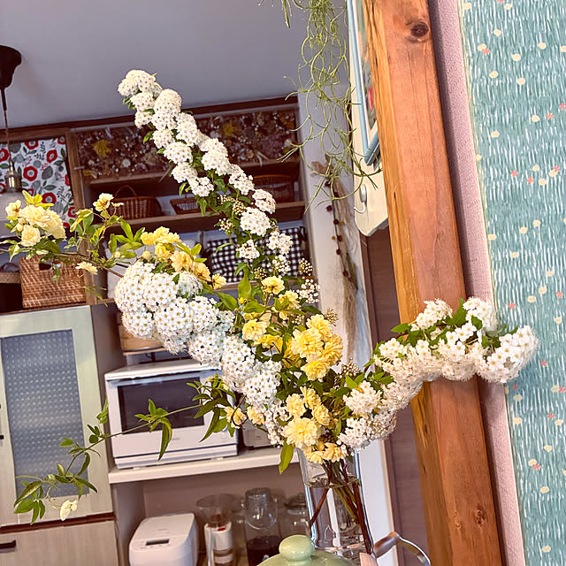 ayayayayaさんの部屋