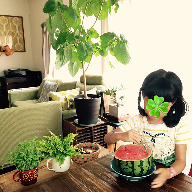 soramameさんの実例写真