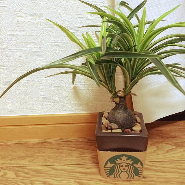 Eriさんの実例写真