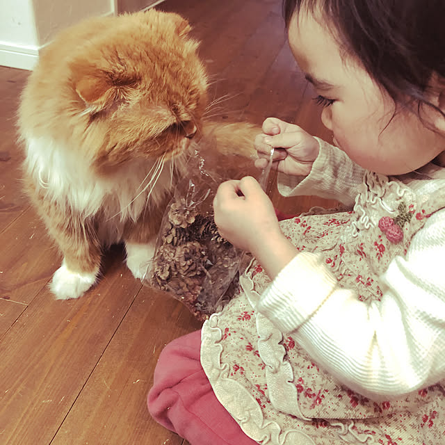 piyolandさんの実例写真
