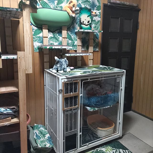 tantomeenさんの実例写真