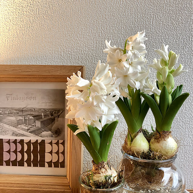 kyoko1124koさんの部屋
