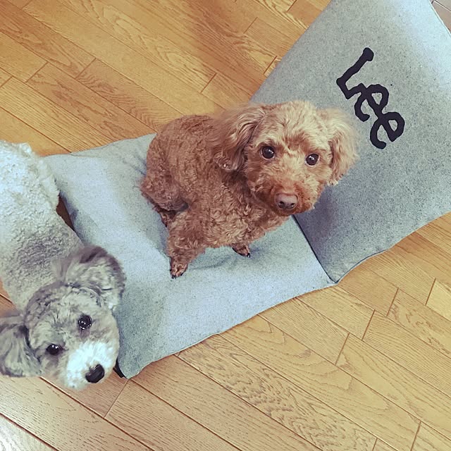 s.s.l_mikiさんの実例写真