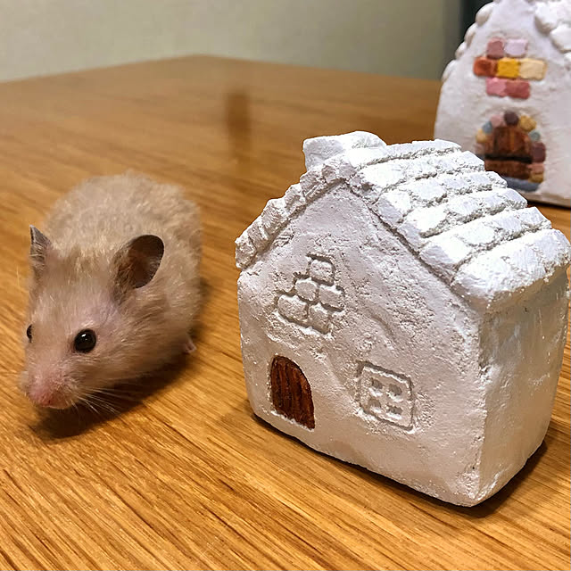 CoffeeHouseさんの実例写真