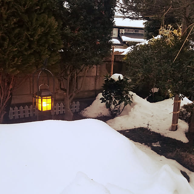 exileingkさんの実例写真