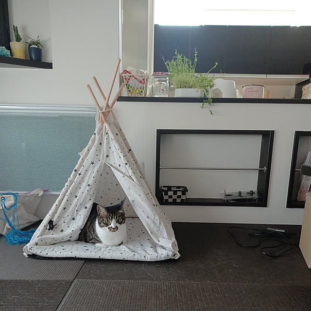 nrさんの実例写真