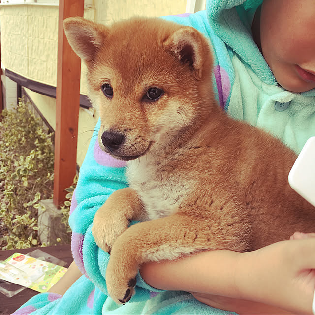 tanyuumoさんの実例写真