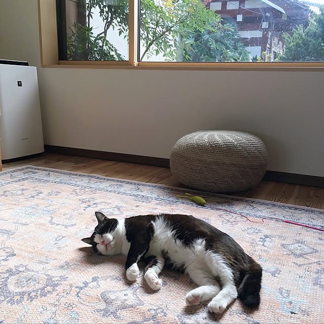 stripeblueさんの実例写真