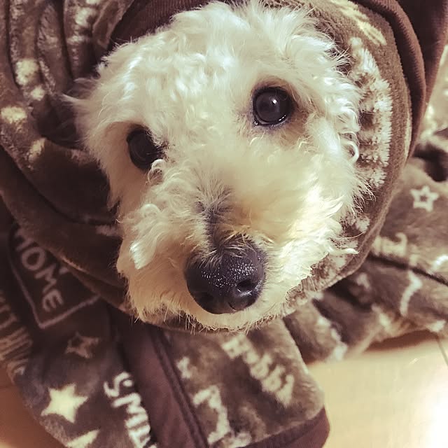 Masamiさんの実例写真