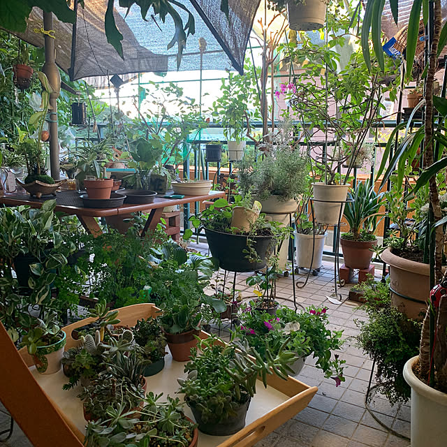 Aqettyさんの部屋