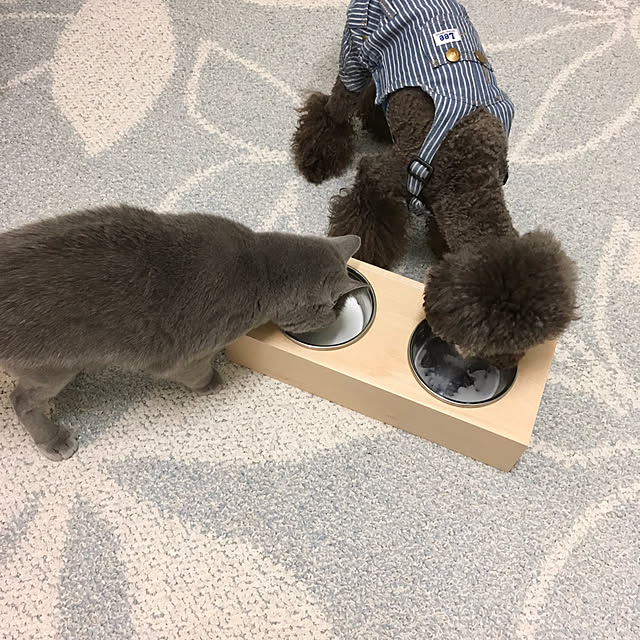fionaさんの実例写真