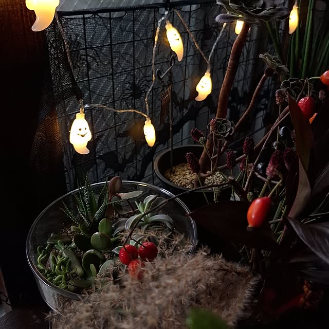 noaさんの部屋