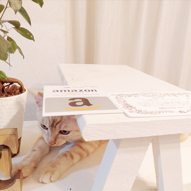 heart.emiemi57.whiteさんの実例写真