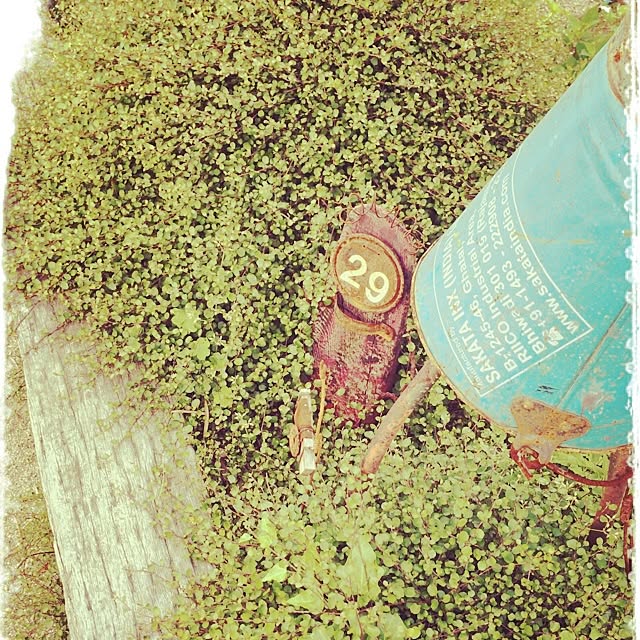 Yuahomeさんの実例写真