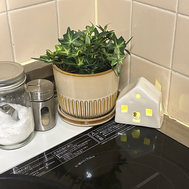 canetteさんの部屋