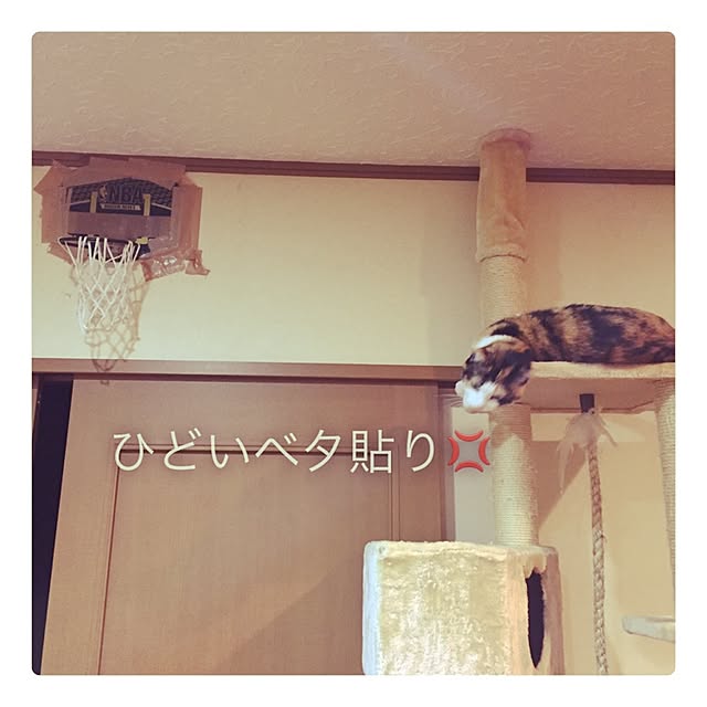 mayugonさんの実例写真
