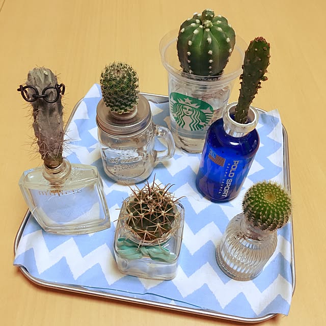 aohanaさんの実例写真