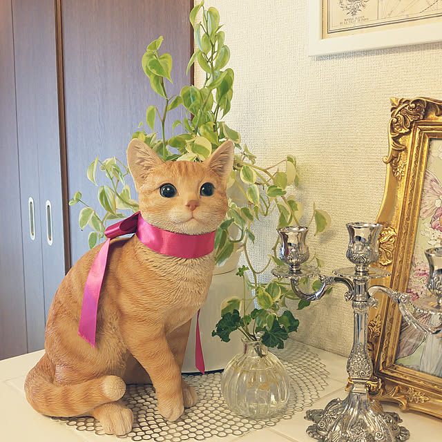 hanahanaさんの実例写真