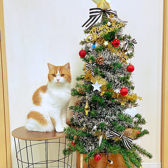 akoさんの実例写真
