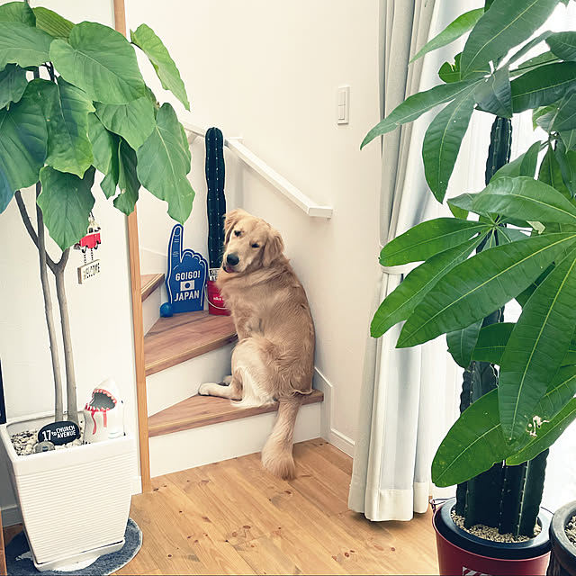 marinkoさんの実例写真