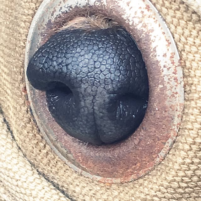 ohanaさんの実例写真