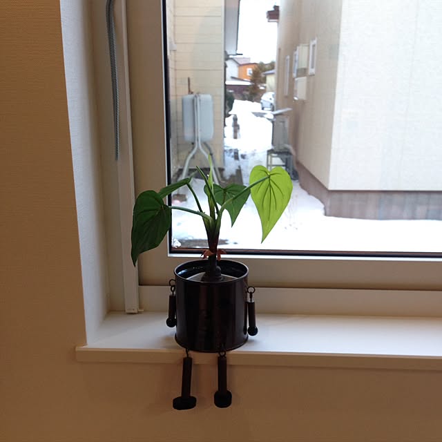 yukiさんの実例写真