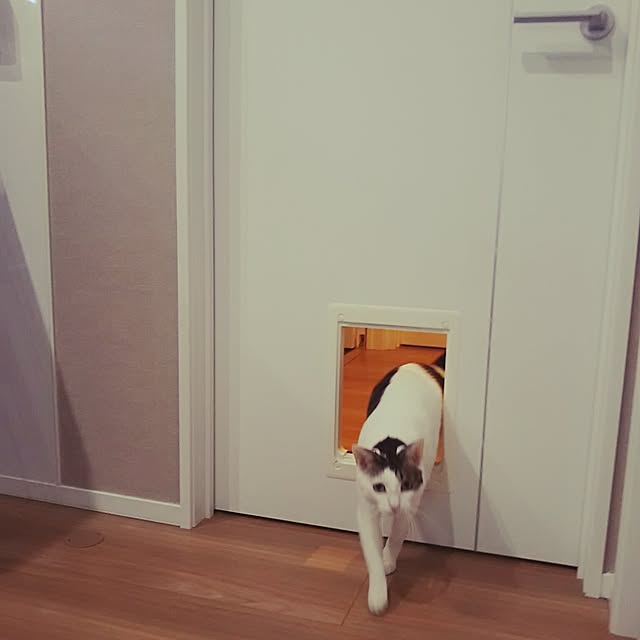sunnyさんの実例写真
