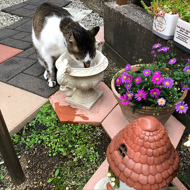 haruminさんの実例写真