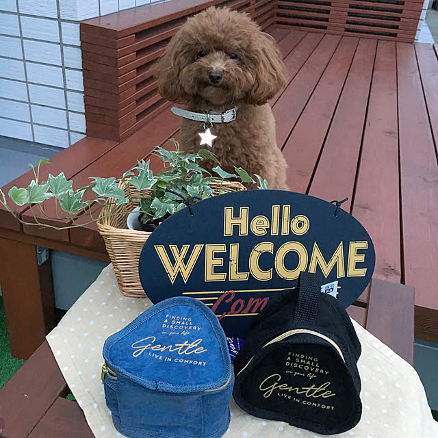 ISM.mumさんの実例写真