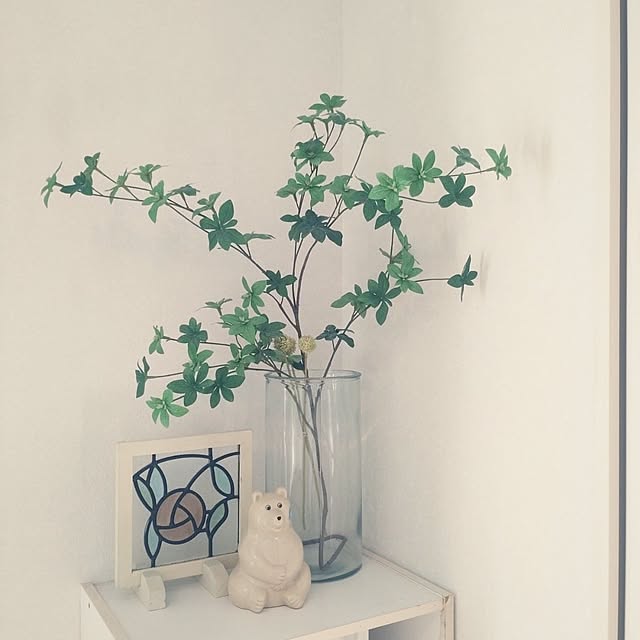 tan5さんの実例写真