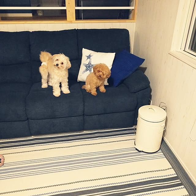chakiさんの実例写真