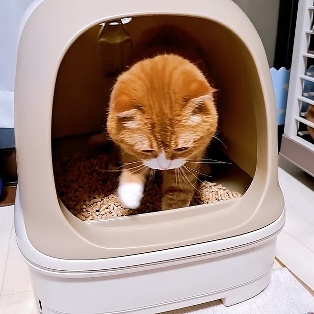 kumingさんの部屋