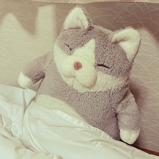 junさんの部屋