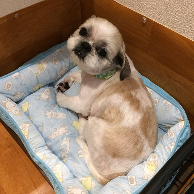 lenkaさんの実例写真