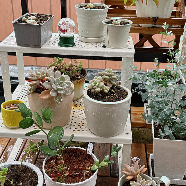 ruuuさんの実例写真