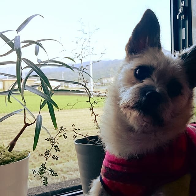 runaさんの実例写真