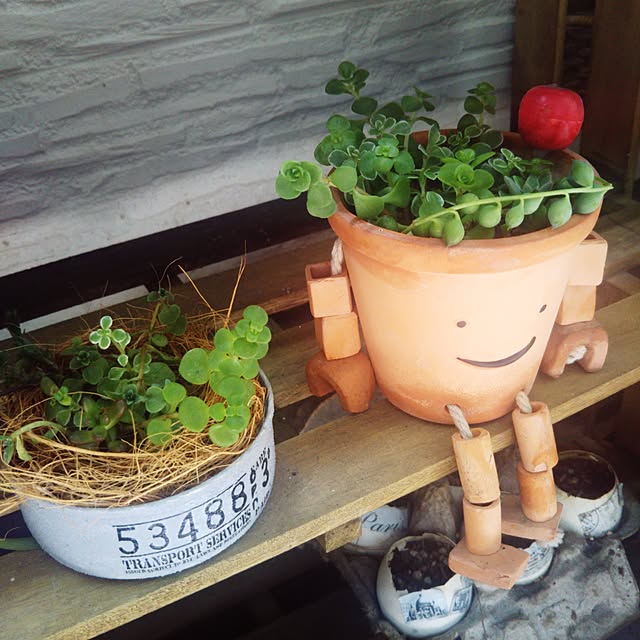 kanaさんの実例写真