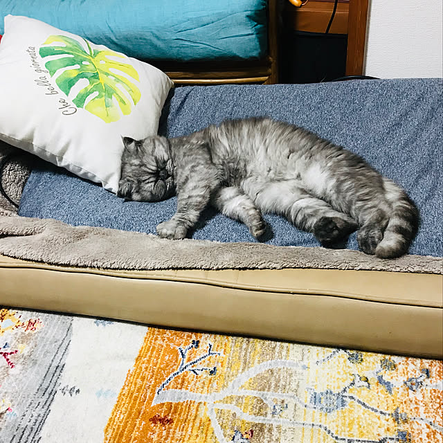 Marinさんの実例写真