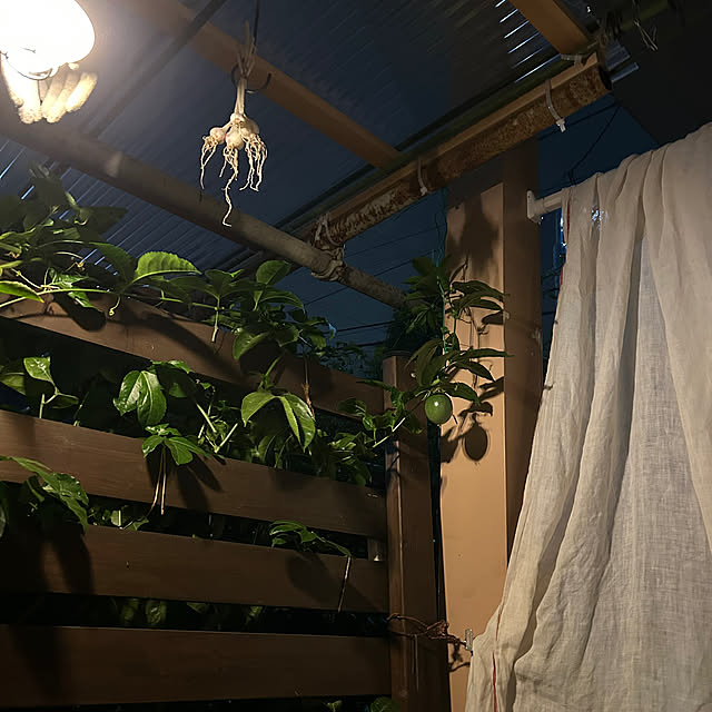 botanさんの部屋